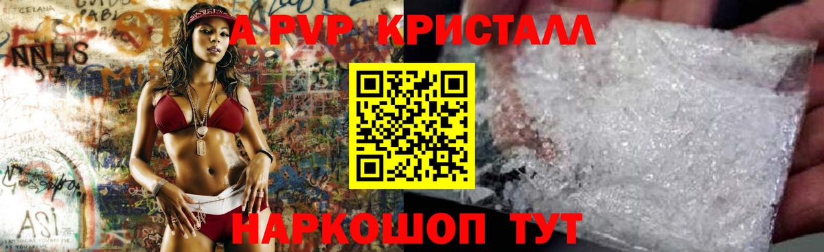 A PVP СК Сыктывкар