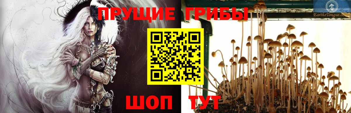 Галлюциногенные грибы GOLDEN TEACHER  Вход с VPN  Псилоцибиновые грибы Cubensis  Сыктывкар 
